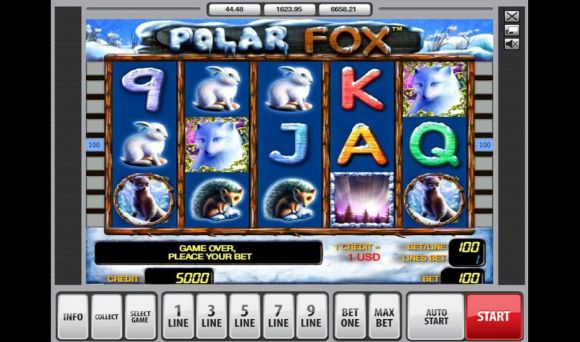 Polar Fox