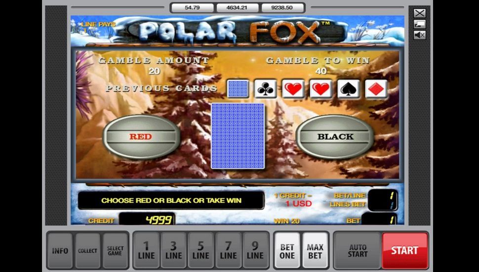 Polar Fox Slot - Risk Game