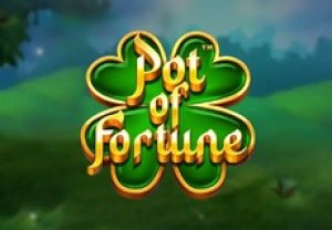 General information about Pot of Fortune slot