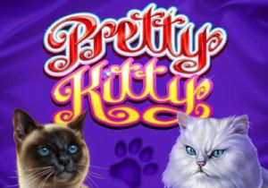 General information about Pretty Kitty slot