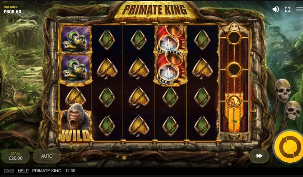 Primate King