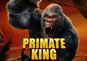 General information about Primate King slot