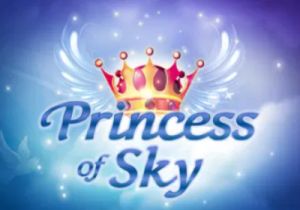 General information about Princess of Sky slot