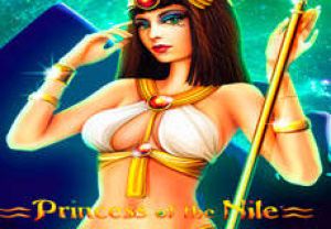 General information about Princess of the Nile slot