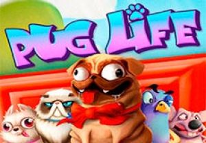 General information about Pug Life slot