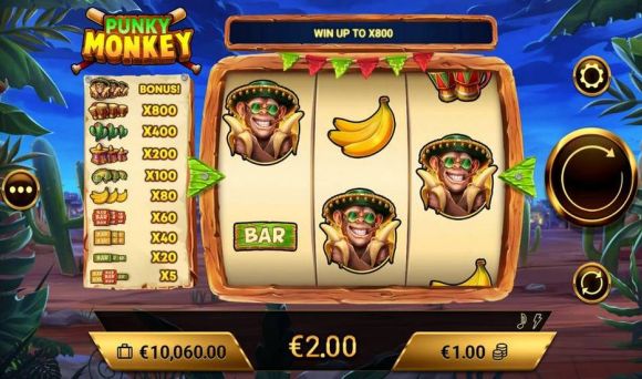 Punky Monkey