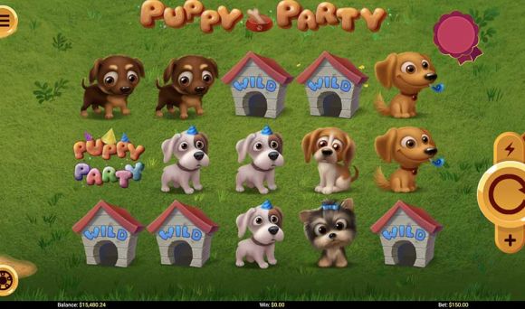 Puppy Party