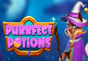 General information about Purrfect Potions slot