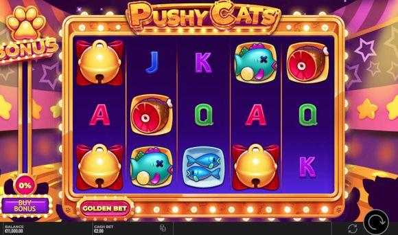 Pushy Cats