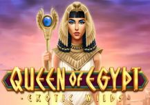 Queen of Egypt Exotic Wilds