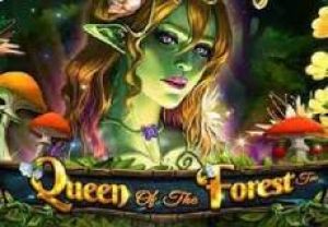 General information about Queen of the Forest slot