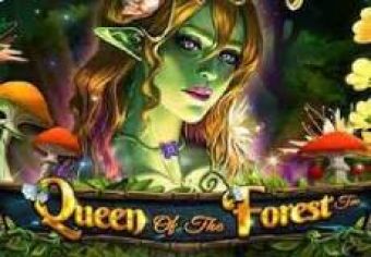 Queen of the Forest logo