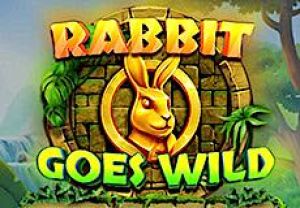 General information about Rabbit Goes Wild slot