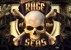 General information about Rage of the Seas slot