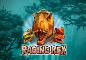 General information about Raging Rex slot