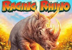 General information about Raging Rhino slot