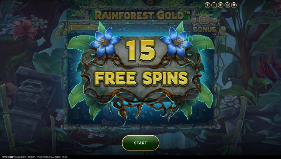 Rainforest Gold slot free spins