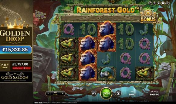 Rainforest Gold