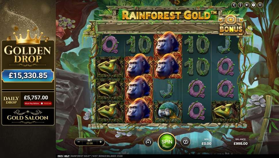 Rainforest Gold slot gameplay