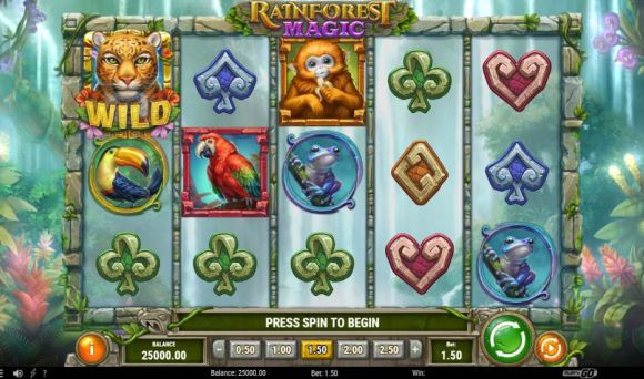 Rainforest Magic