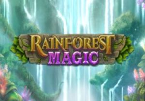 General information about Rainforest Magic slot