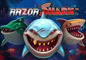 General information about Razor Shark slot