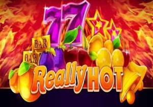 General information about Really Hot slot