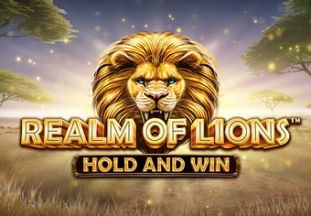 General information about Realm of Lions slot