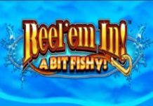 Reel' Em In! A Bit Fishy!