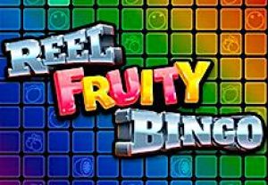 General information about Reel Fruity Bingo slot