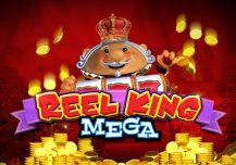 Reel King Mega