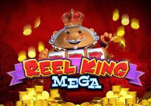 General information about Reel King Mega slot