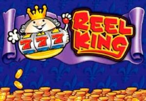 General information about Reel King slot