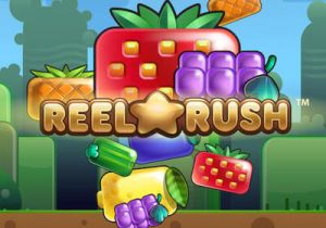 General information about Reel Rush slot