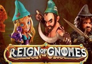 General information about Reign of Gnomes slot