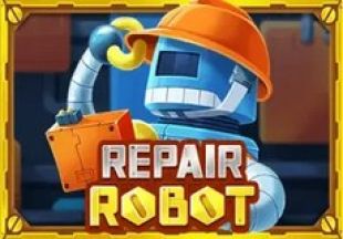 General information about Repair Robot slot