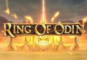 General information about Ring of Odin slot