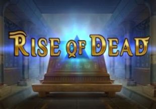 General information about Rise of Dead slot
