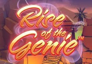 General information about Rise of the Genie slot