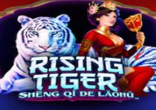 Rising Tiger Sheng qi de Laohu