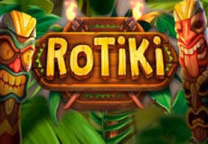 General information about Rotiki slot