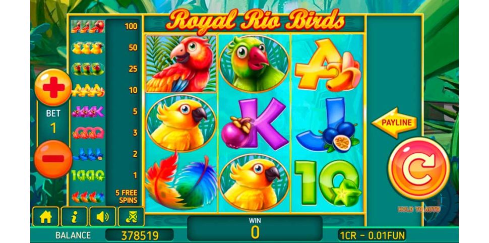 Royal Rio Birds 3x3