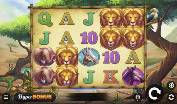 Safari Chase