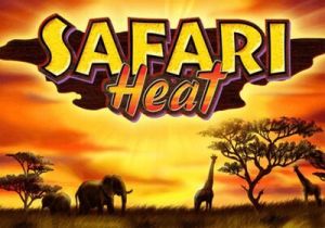 General information about Safari Heat slot