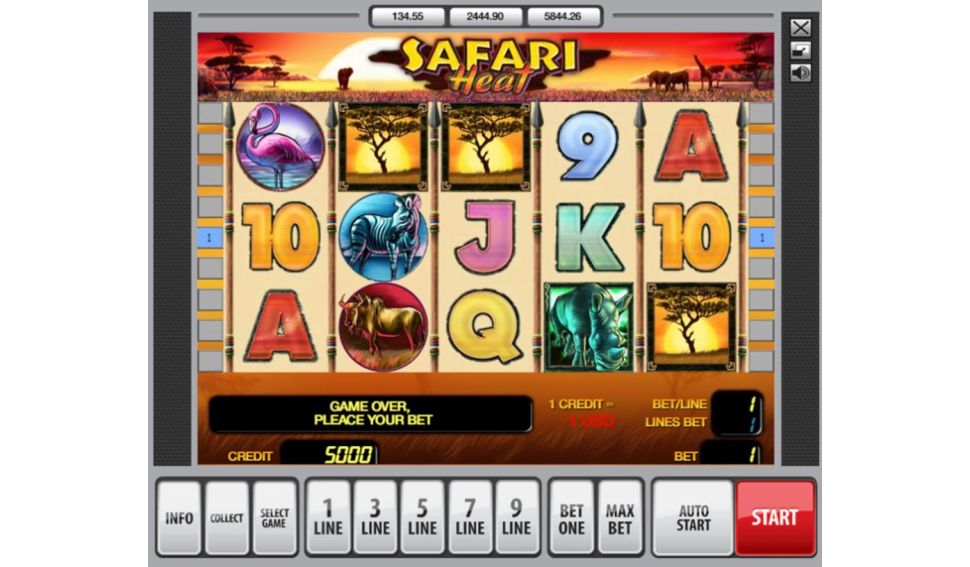 Safari Heat