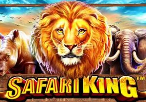 General information about Safari King slot