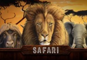 General information about Safari slot