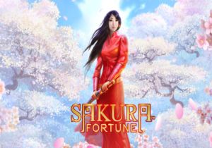 General information about Sakura Fortune slot