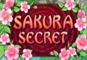 General information about Sakura Secret slot