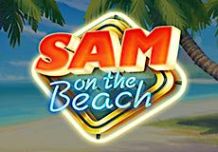 Sam on the Beach